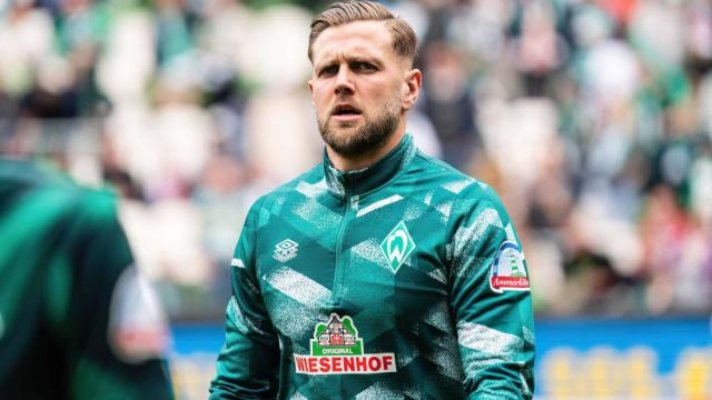 多样性上有 多样性上有